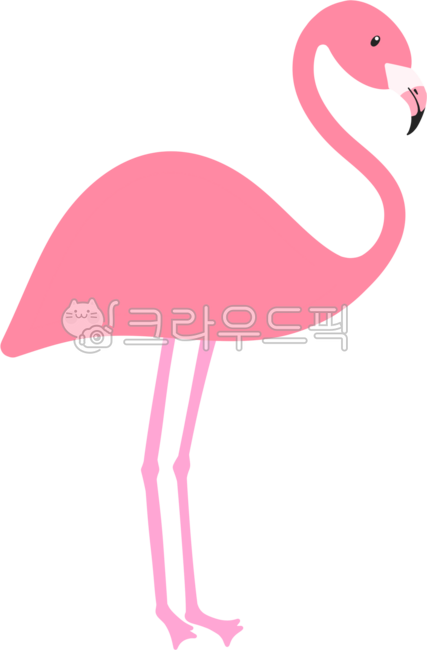 png,홍학,홍학일러스트,분홍색홍학,플라밍고,플라밍고일러스트,동물,새,귀여운플라밍고,귀여운홍학