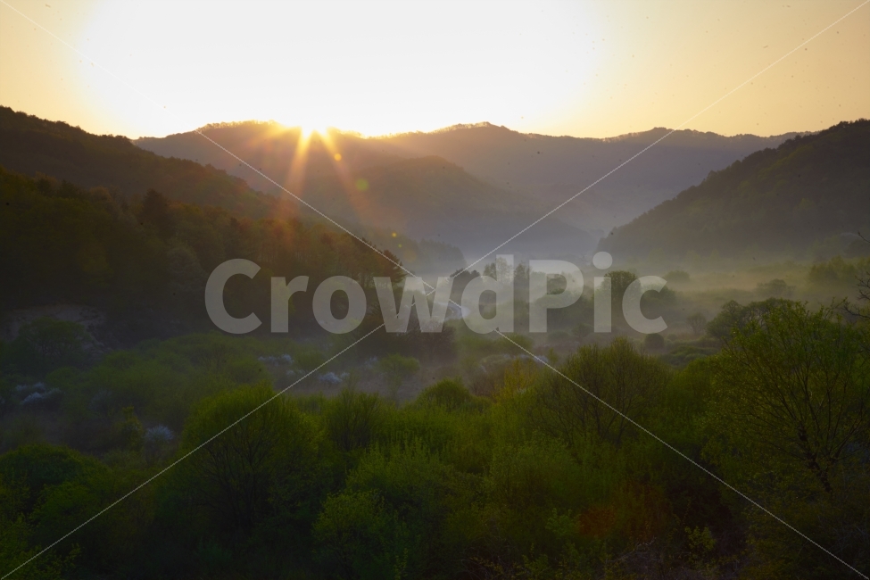 시크릿가든,비밀의정원,인제,봄,초록,안개,일출,새벽,자연,풍경,nature,landscape,flare,플레어,light,빛,outdoors,옥외