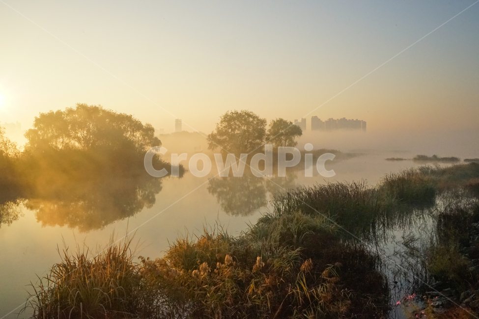 호수,새벽,안개,저수지,풍경,물안개,자연,일출,자연,풍경,nature,landscape,한국자연풍경,한국자연경관,korea nature landscape,weather,날씨,outdoors,옥외