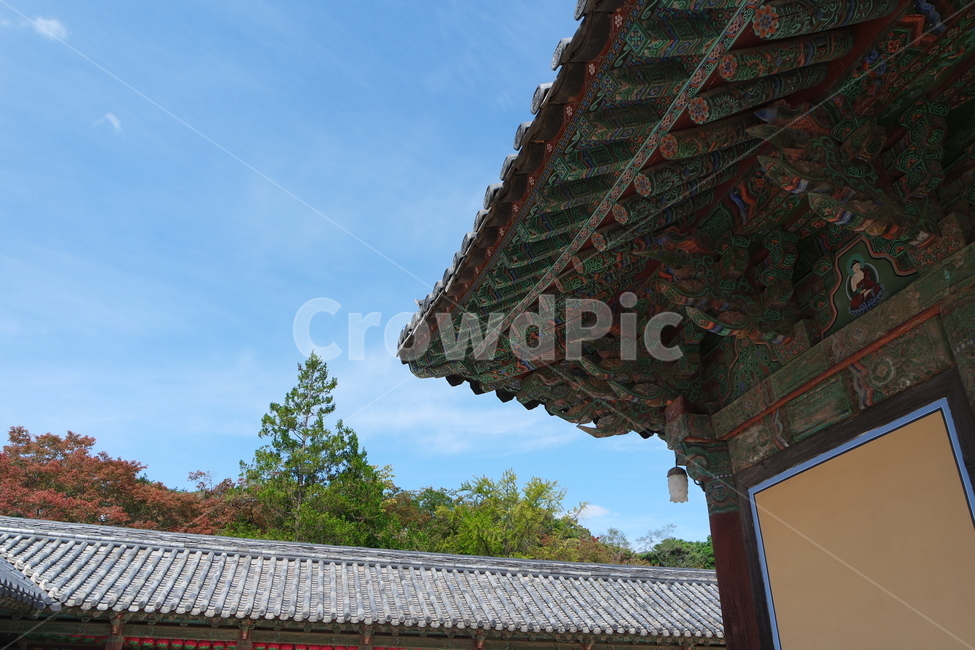단청,하늘,풍경,절,템플,템플스테이,지붕,building,temple,기와,처마,오색,전통