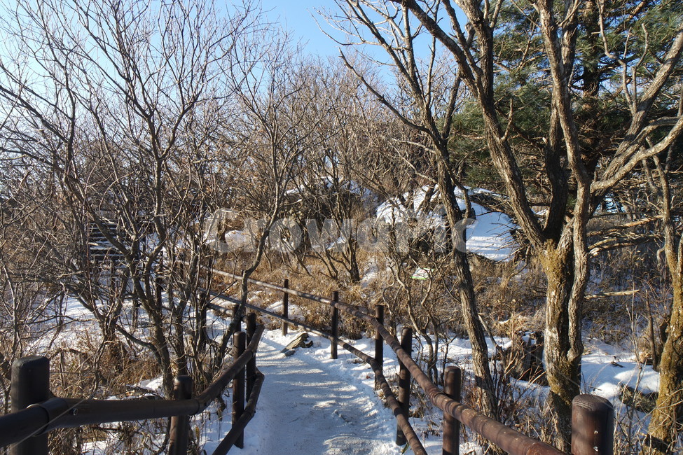 겨울,겨울산,겨울등산,설산,눈,winter,snow,겨울,계절,winter,season