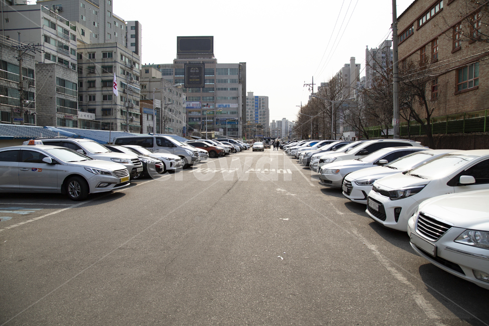 주차장,많은,일렬,자동차,차,승용차,주차라인,안내판,생활,옆면,라이트,정차,전면,후면,후면주차,자가용,산업,승합차,야외주차장,도로표지,빌딩,건물,가로수,전선,공용주차장,transportation,교통,vehicle,차량,car