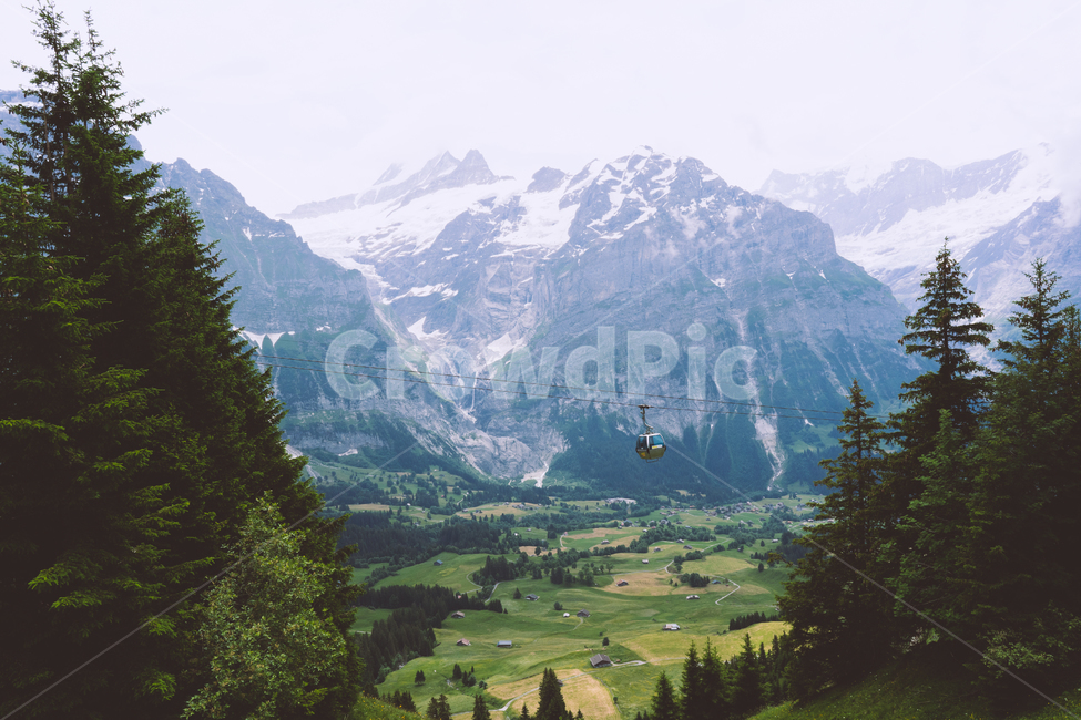 스위스,산,자연,풍경,케이블카,숲,눈,눈덮힌산,유럽,인터라켄,swiss,mountain,cablecar,forest,nature,interlaken,자연,풍경,nature,landscape,해외,외국,세계,foreign,oversea,world,세계자연풍경,해외자연풍경,외국자연풍경,world nature landscape