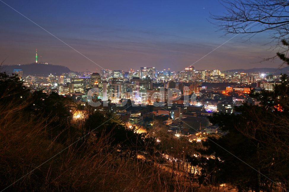 야경,서울도심,종로구,건물,조명,불빛,야경,밤,풍경,nightscape,night,landscape,한국도시풍경,한국도시경관,korea cityscape