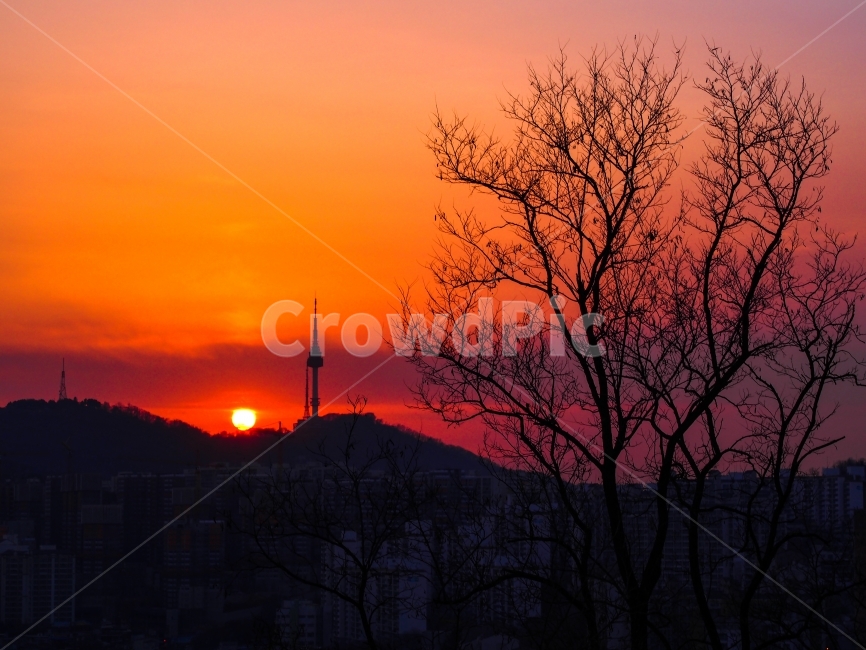 남산,남산타워,일몰,노을,서울,도시,풍경,city,landscape,한국도시풍경,한국도시경관,korea cityscape,랜드마크,landmark,tourist attraction,한국랜드마크,한국관광지,한국명소,korea landmark,korea tourist attraction,실루엣,그림자,silhouette,shadow,nature,자연,outdoors,옥외,dusk,황혼,dawn,새벽,sky,하늘,red sky,붉은 하늘,sunset