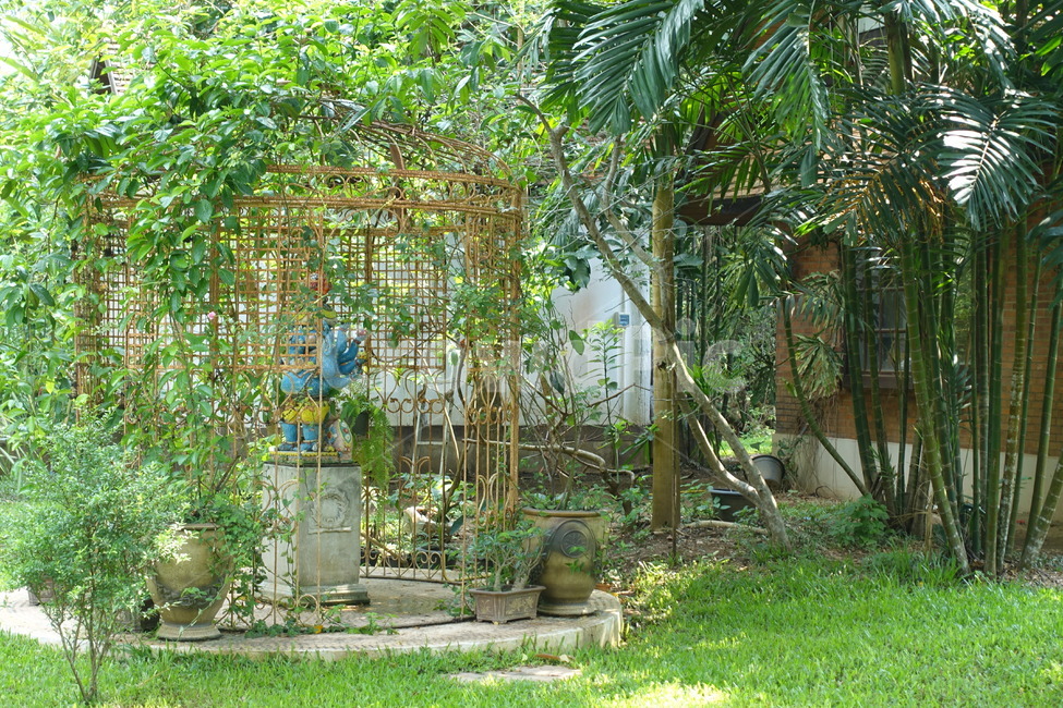 plant,식물,숲,forest,숲속,green,초록,초록색,greenery,그리너리,나무,wood,garden,정원,outdoors,옥외,arbour,정자,porch,현관,patio,안마당