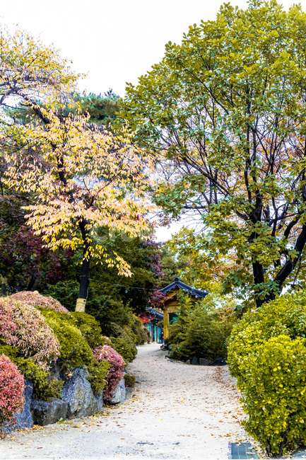 가을,단풍,낙엽,사찰,감성,가을,계절,fall,autumn,season,자연,풍경,nature,landscape,한국자연풍경,한국자연경관,korea nature landscape,outdoors,옥외,garden,정원