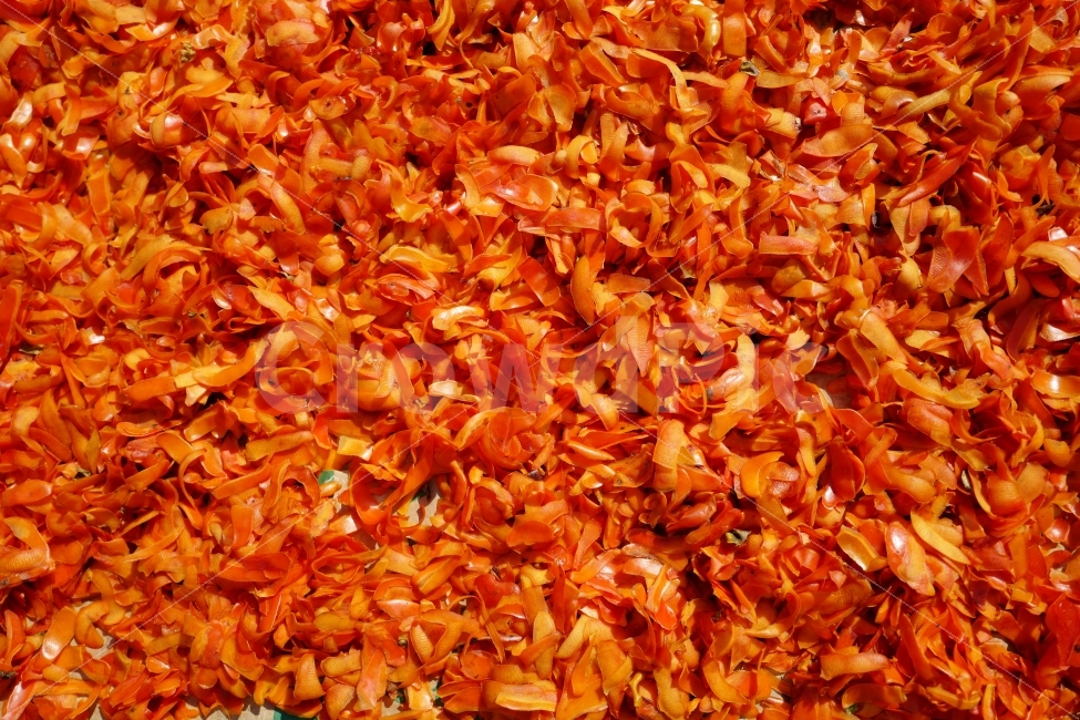 감,홍시,곶감,감껍질,과일,시골풍경,시골,가을,가을풍경,가을,계절,fall,autumn,season,음식,식재료,요리,food,cook,meal,dishes,food reserves,과일,열매,fruit,plant,식물,leaf,잎