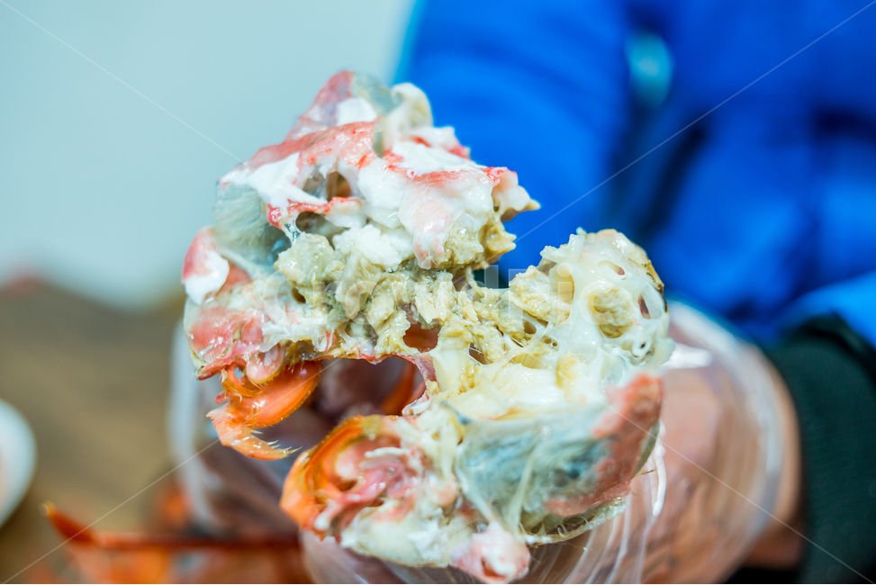 홍게,게,꽃게,랍스터,식품,해물,해산물,홍게찜,크랩,crab,braisedredcrab,redsnowcrab,음식,식재료,요리,food,cook,meal,dishes,food reserves,수산물,해산물,fishery products,seafood