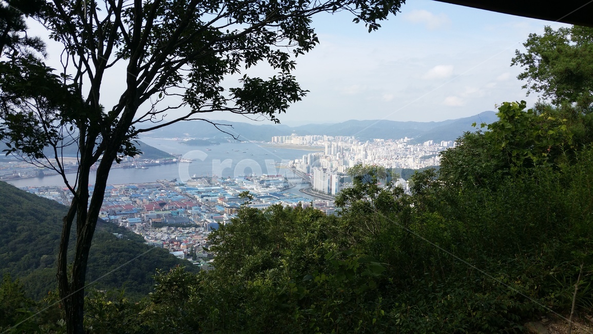 산,마산,팔용산,경치,자연,창원,바다,숲,나무,정상,전경,풍경,한국자연,한국산,한국나무,한국풍경,마산만,등산,산책,꼭대기,여름,봄,마산자연,창원자연