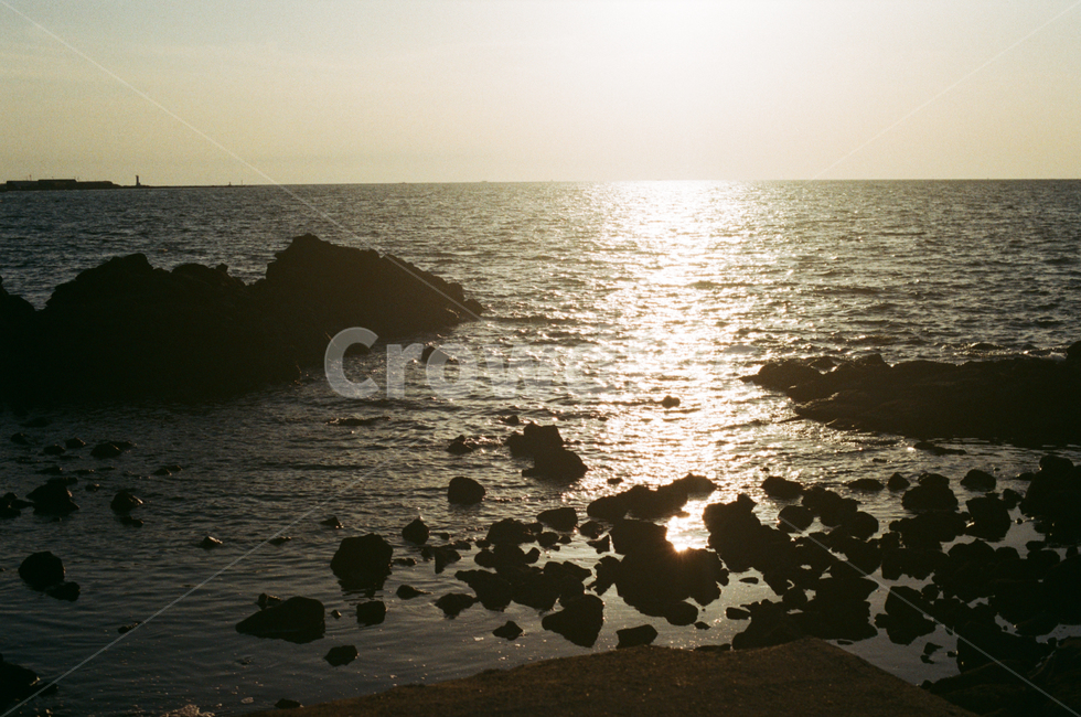 바다,제주도,제주,선셋,색감,자유,힐링,여름휴가,휴가,여름,자연,풍경,nature,landscape,vacation,jeju,jejuisland,필름,필름카메라,감성,빛,light,예쁜,아름다운,색체,계절,sunset,노을