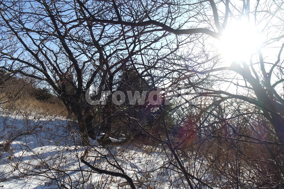겨울,겨울산,겨울등산,설산,눈,winter,snow