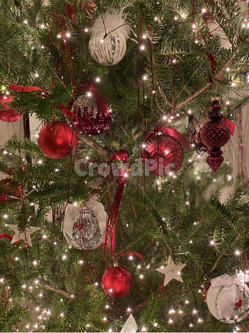 christmastree,크리스마스트리,ornament,식물,plant,나무,tree,크리스마스,장식,christmas,holiday,holidays