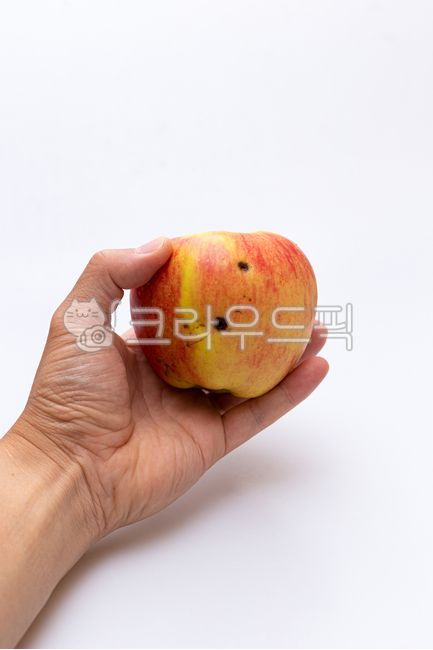 사과,과실,과일,열매사과즙,상한,농작물,재배,맛있는,썩은,병든,빨간,붉은,person,사람,human