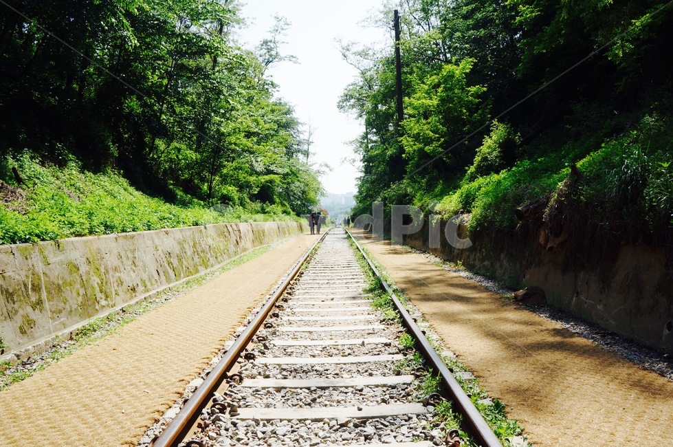 항동철길,철길,기차,기찻길,자연,rail,레일,철도,교통,교통수단,traffic,transportation