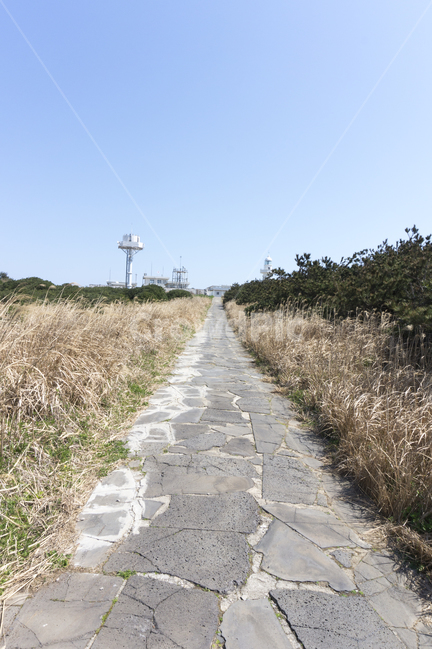 마라도,풍경,자연,제주도,제주,하늘,바다,언덕,들판,섬,휴양지,휴가,산책로,산책,트래킹,길,명소,자연,풍경,nature,landscape,flagstone,판석