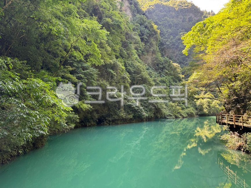 중국,장가계,자연,호수,풍경