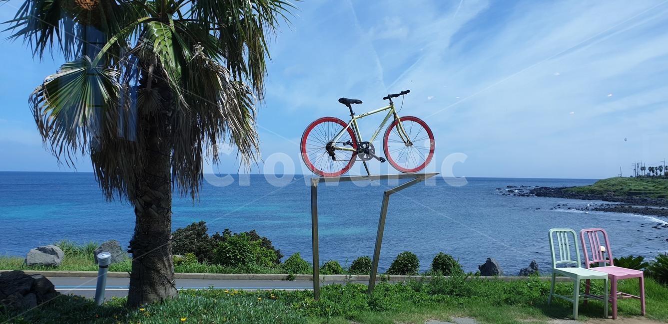 bike,자전거,transportation,vehicle,차량,교통,bicycle,wheel,여름,summer,기계,machine,바퀴,조각상,동상,석상,조형물,statue,bronze statue,stone statue