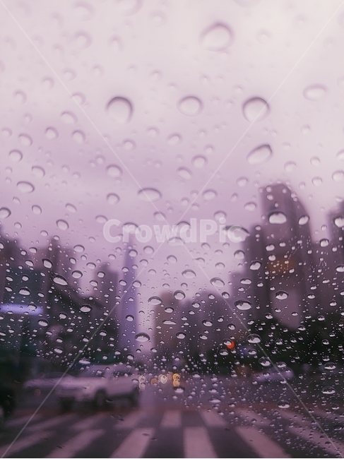 비,빗방울,창문,흐림,도로,비,비오는날,rain,rainy