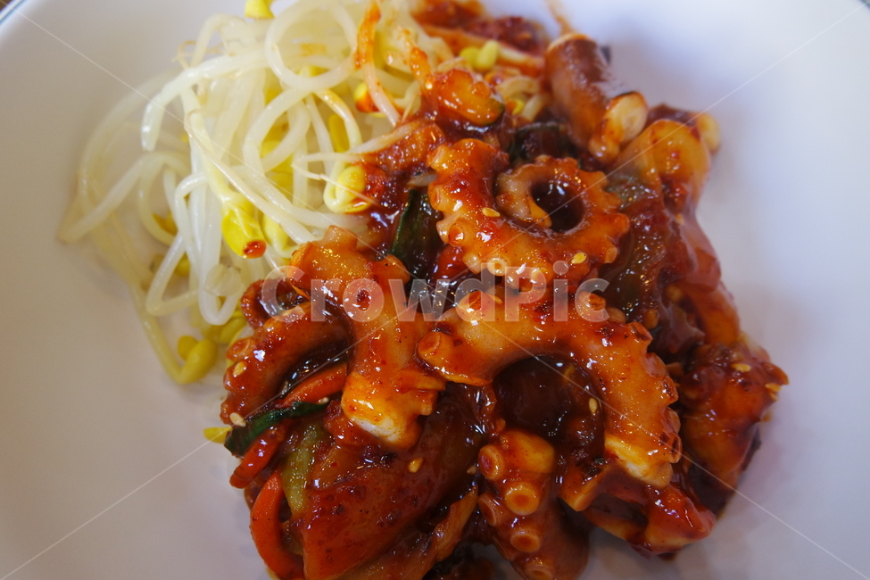 낙지,낙지볶음,낙지요리,해산물,해산물볶음,음식,식재료,요리,food,cook,meal,dishes,food reserves,한식,한국음식,한국요리,korean food,korean dishes,korean meal,korean cook