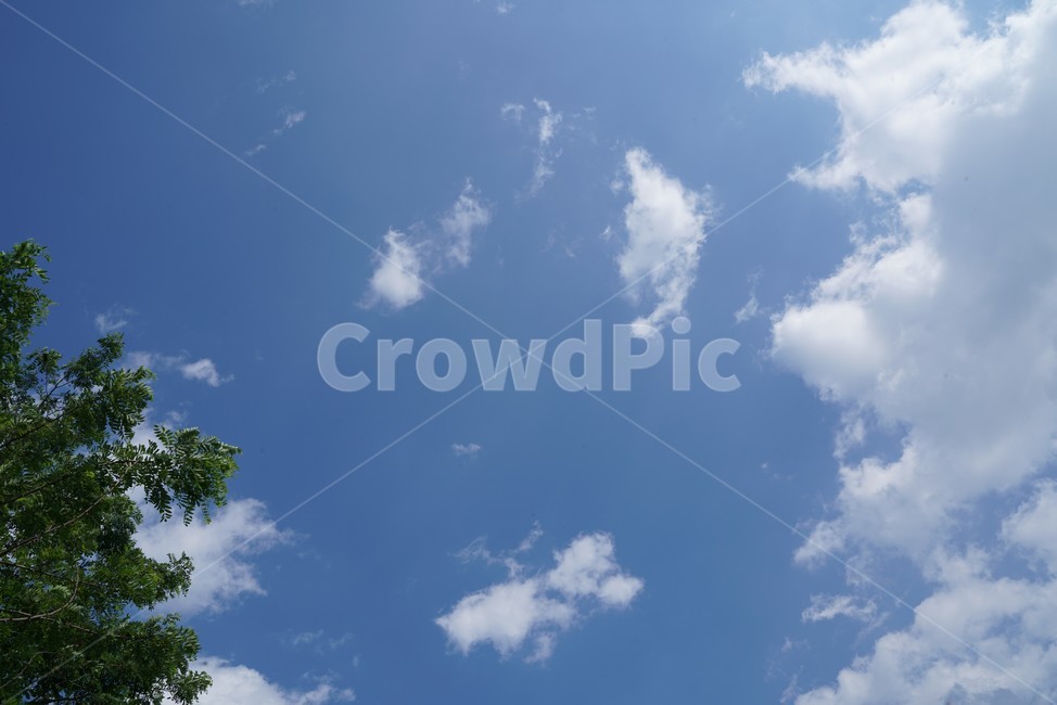 하늘,구름,파란하늘,sky,창공,천공