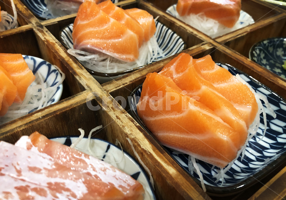 연어,연어회,회,일식,이자카야,음식,신선한,salmon,fresh,rawfish,sashimi,japanesefood,japan,closeup