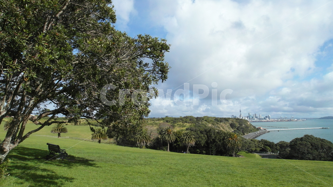 뉴질랜드,풍경,자연,휴식,nature,식물,잔디,grass,옥외,outdoors,자연,풍경,nature,landscape