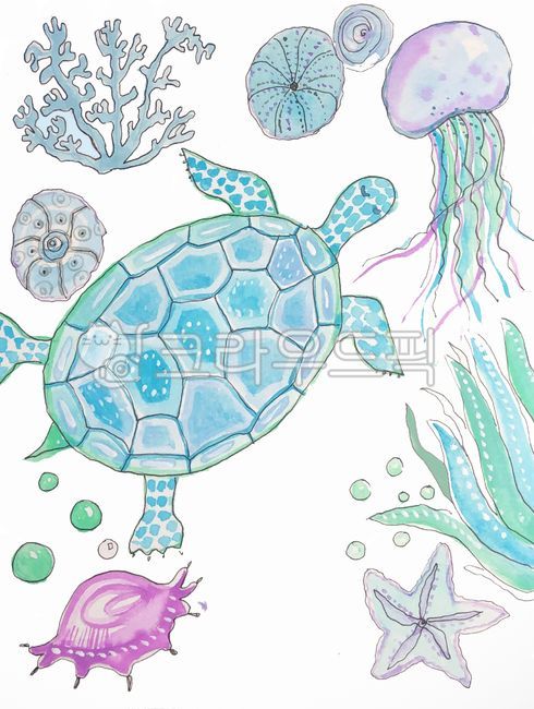수채화,손그림,일러스트,도안,해파리,산호,조개,미역,불가사리,거북이,sealife,해양생물,animal,동물,turtle,터틀