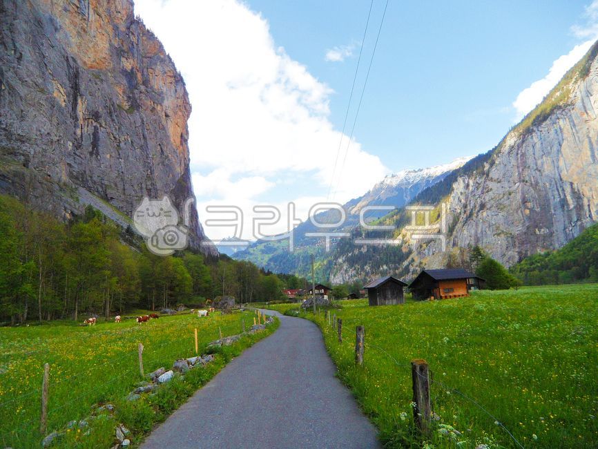 Foreign natural scenery,Overseas natural scenery,path,overseas scenery,mountain,lauterbrunnen,road,mountainouslandforms,sight,farm,switzerland,Passage,field,plant,world natural scenery,valley,alps,Hill,cliff,Swiss,grass,plants,plateau,Lauterbrunnen,pastur