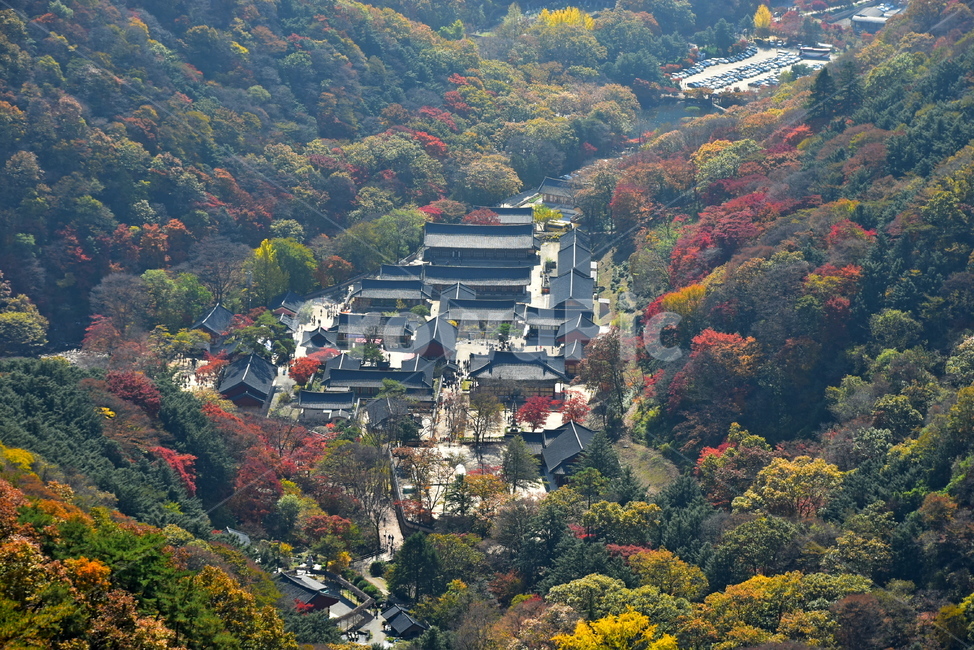 자연,풍경,단풍,계절,가을,잎,단풍잎,붉은,노란,사찰,낙엽,나무,애기단풍,백암산,백양사,fall,autumn,season,nature,landscape,한국자연풍경,한국자연경관,korea,tree,maple,leaf,가을,계절,fall,autumn,season,자연,풍경,nature,landscape,한국전통,한국문화,korean traditional,korean culture,outdoors,옥외,경치,scenery,aerial view,조감도