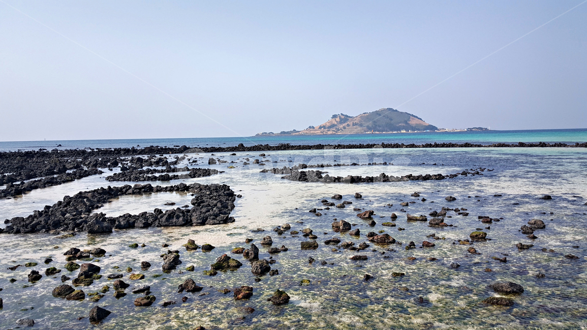바다,해안,sea,ocean,대양,자연