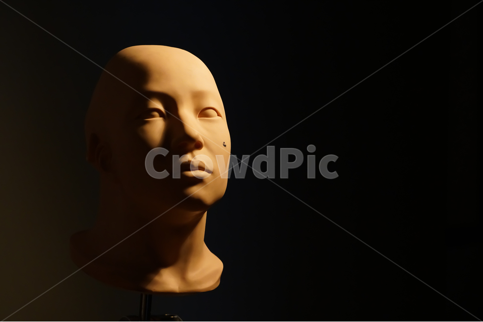 조명,렘브란트,자화상,입체감,측면광,램브란트,어두운,우울한,남자,두상,대머리,그림자,조명공부,조명예제,교보재,스튜디오,lighting,rembrandt,portrait,cubiceffect,shadow,gloomy,dark,bald,head,face,studio,lightingstudy,lightingexample,teachingaids,조각상,동상,석상,조형물,statue,bronze statue,stone statue,예술,art