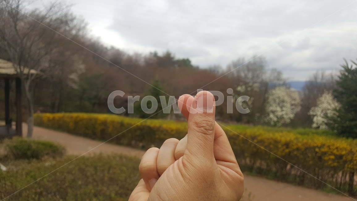 손,손하트,하트,자연,봄,사랑,hand,humanhand,nature,season