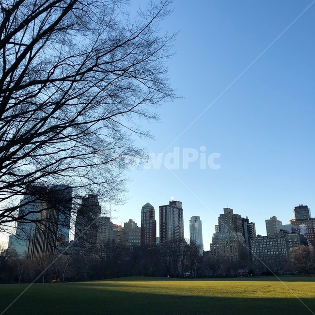 미국,뉴욕,센트럴파크,공원,풍경,도시,풍경,city,landscape,해외,외국,세계,foreign,oversea,world,세계도시풍경,해외도시풍경,외국도시풍경,world cityscape,grass,잔디,plant,식물,lawn