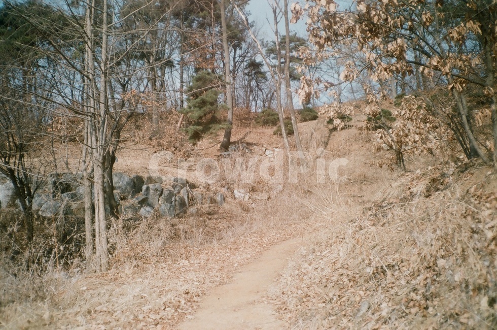 나무,풍경,아날로그,필름카메라,산,힐링,자연,풍경,nature,landscape,ground,바닥,gravel,자갈,dirt road,흙길,road,도로,path,통로