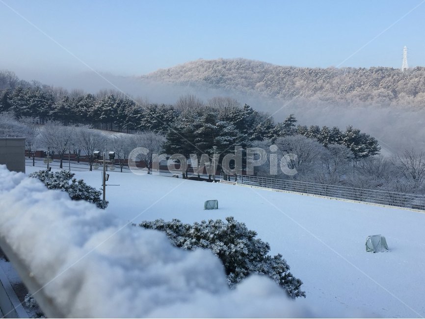 겨울풍경,눈,snow,winter,춥다,겨울,계절,winter,season,자연,풍경,nature,landscape,outdoors,옥외,tree,나무,plant,식물,fir,전나무