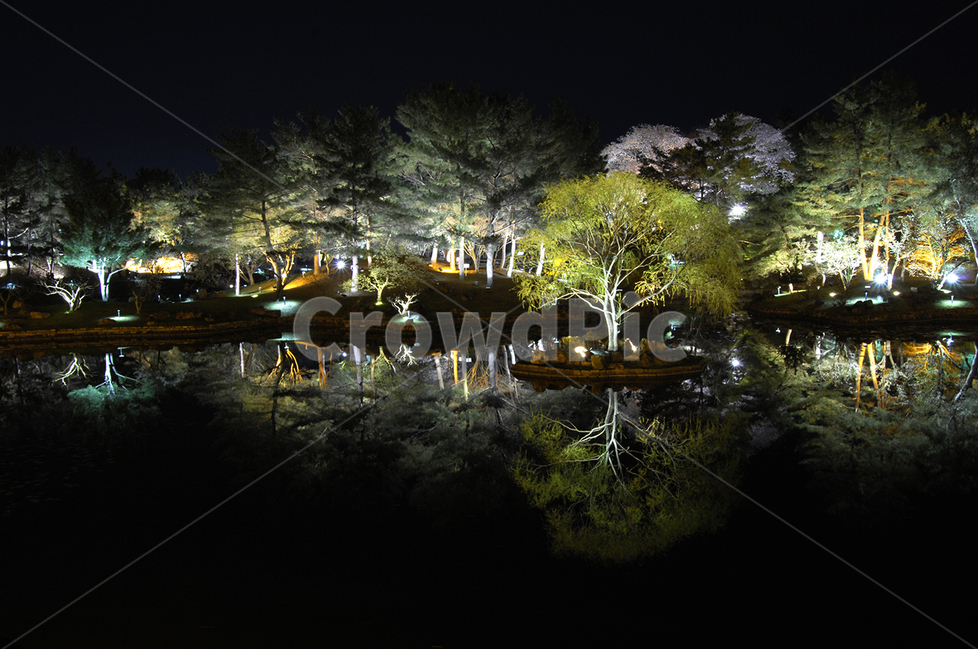 경주,자연,야경,동궁과월지,안압지,야경,밤,풍경,nightscape,night,landscape,nature,outdoors,옥외