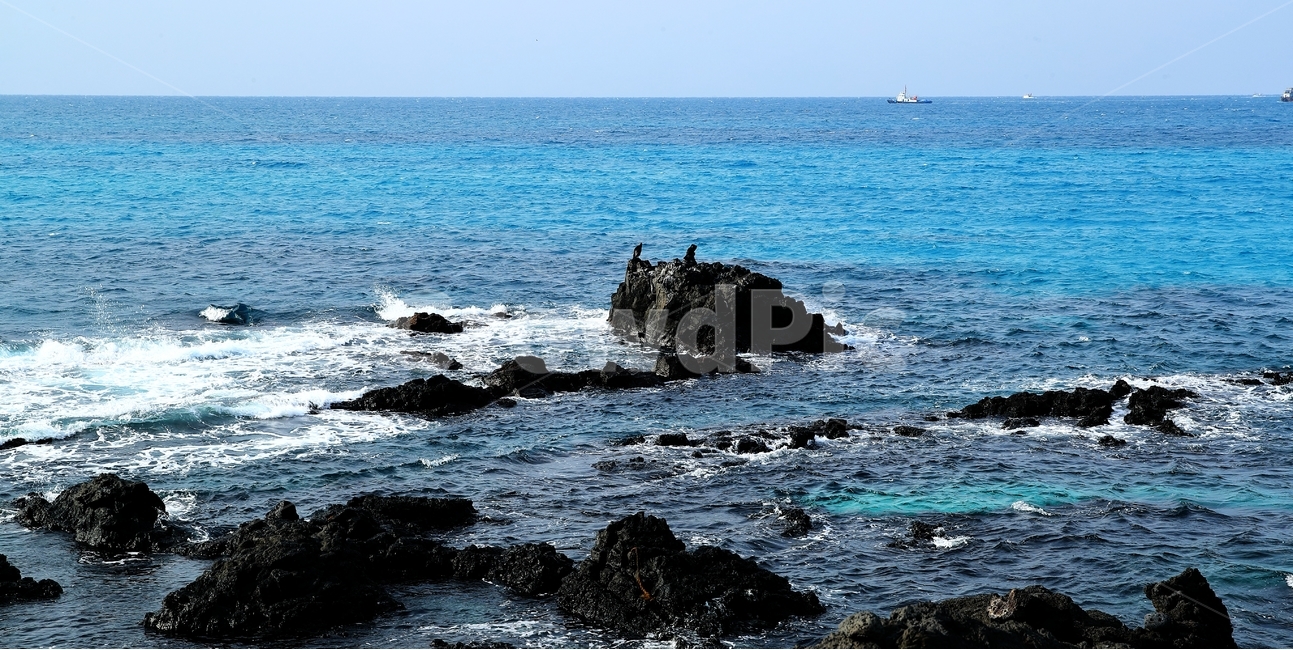 월령리,제주도,올레길,해변,바다,자연,풍경,nature,landscape,한국자연풍경,한국자연경관,korea nature landscape,제주도,jeju,jeju island,outdoors,옥외,ocean,대양,water,물,sea,promontory,곶