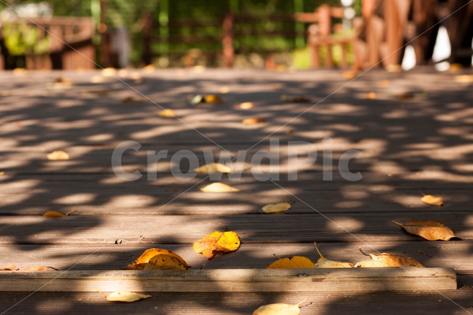 자연,풍경,가을,배경화면,감성,감성사진,낙엽,일상,가을,계절,fall,autumn,season,감성,sensible,feeling