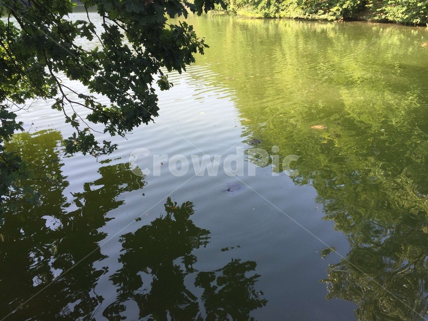 호수,연못,호수공원,물결,자연,자연호수,물결치는,물가,잔물결,유럽호수,lake,lakeside,pond,lakepark,nature,ripple,europeanlake