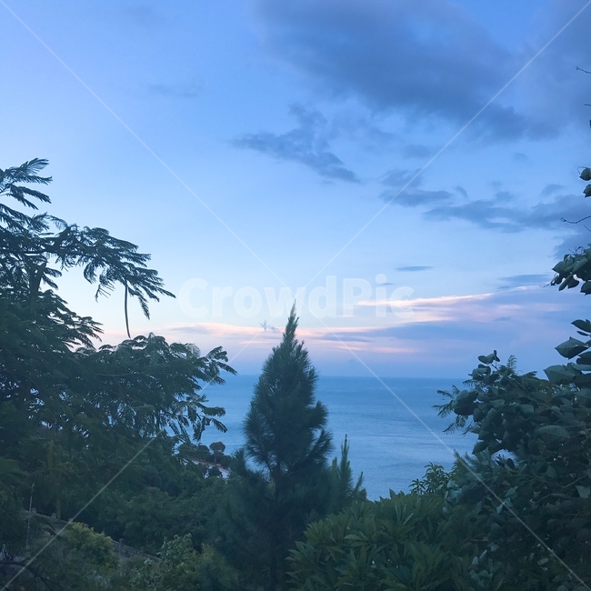 하늘,구름,나무,바다,sky,cloud,trees,sea,일몰,sunset