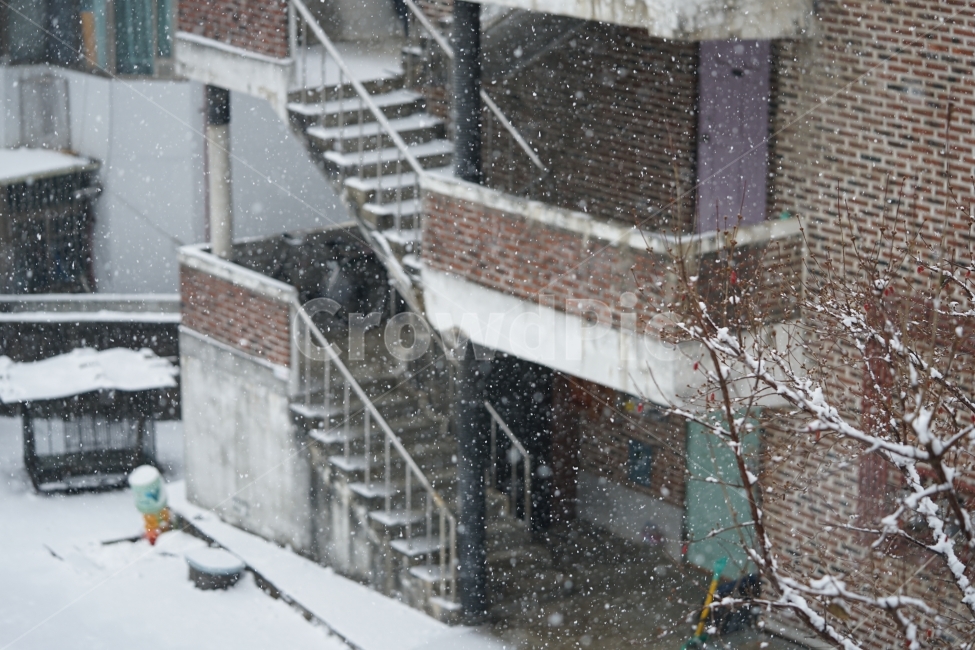 눈,설경,풍경,풍경사진,겨울,겨울이야기,윈터,winter,계절,추위,눈내리는날,감성,감성사진,겨울풍경,느낌,나무,snow,스노우,바람,한파,날씨,하얀색,화이트,흰색,겨울,계절,winter,season,도시,풍경,city,landscape,한국도시풍경,한국도시경관,korea cityscape,nature,자연,outdoors,옥외