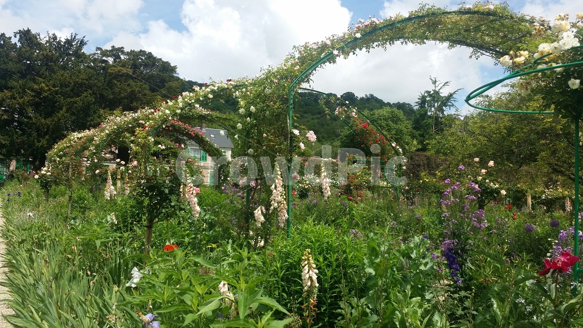 프랑스,지베르니,모네,정원,france,giverny,monet,house,garden,flower,꽃,명소,sight,spot,생가,집,나무,tree,nature,자연,bine,덩굴