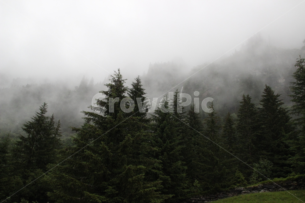 인터라켄,융프라우산,융프라우,스위스,interlaken,jungfraumt,jungfrau,train,swiss,switzerland,자연,풍경,nature,landscape,해외,외국,세계,foreign,oversea,world,세계자연풍경,해외자연풍경,외국자연풍경,world nature landscape,weather,날씨,outdoors,옥외