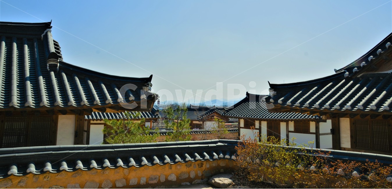 한옥,봄,경주,마을,기와,한국전통,한국문화,korean traditional,korean culture,건축물,건물외관,exterior,building,structure,architecture,construction