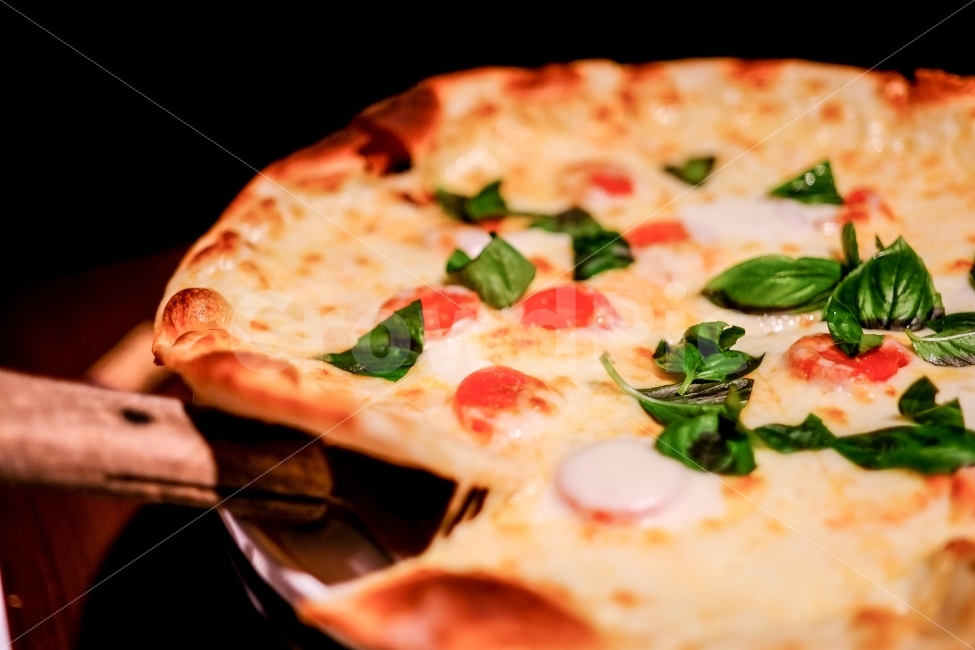 피자,피자사진,치즈,바질,음식사진,시선,스냅사진,음식,식재료,요리,food,cook,meal,dishes,food reserves,빵,bread,양식,서양음식,서양요리,western food,western dishes,western meal,western cook,감성,sensible,feeling