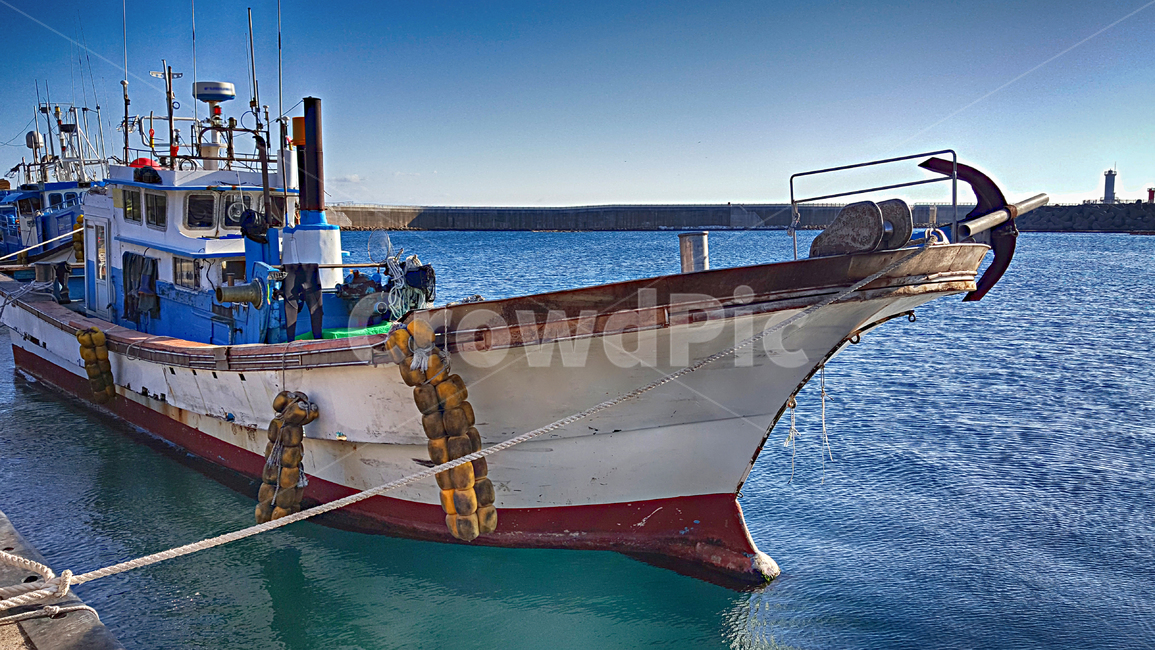 어선,선박,항구,위미항,배,보트,port,교통,어업,fishery,fishing industry