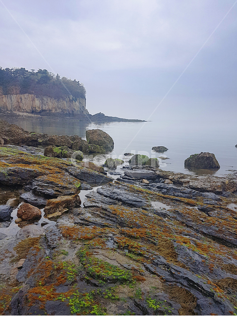 변산반도,부안,적벽강,바다,자연