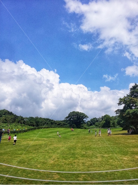 잔디,grass,field,들,나무,구름,하늘,풍경,경치,식물,plant