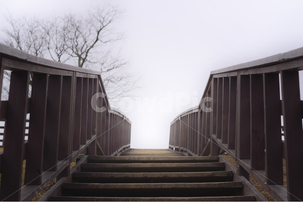 handrail,난간,banister,railing,계단,stair,목재,wood,빛,light,햇빛,따뜻함,하늘,sky,감성,감성사진